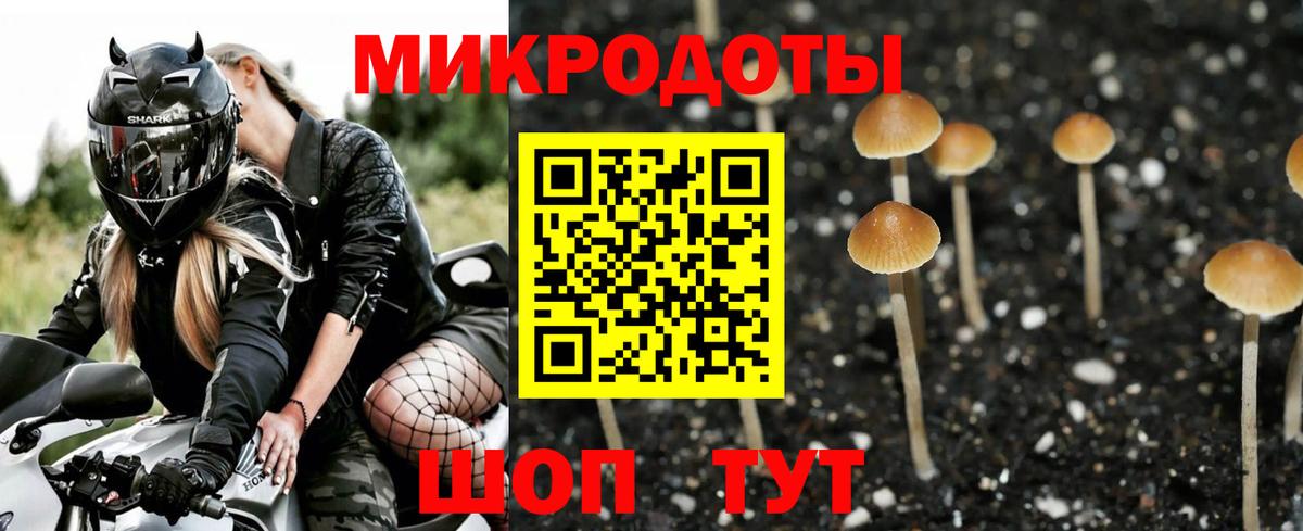 Галлюциногенные грибы Magic Shrooms Валуйки